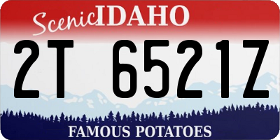 ID license plate 2T6521Z