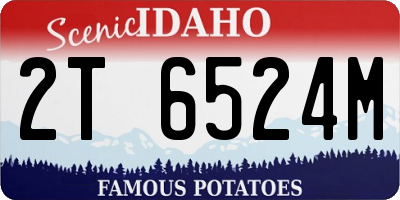 ID license plate 2T6524M