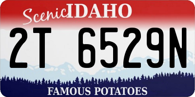 ID license plate 2T6529N