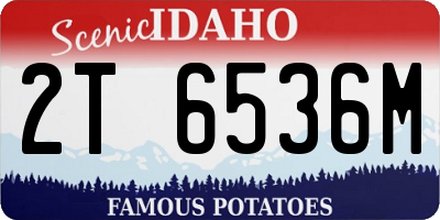 ID license plate 2T6536M