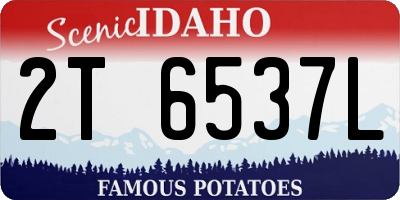 ID license plate 2T6537L