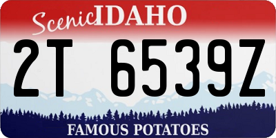 ID license plate 2T6539Z