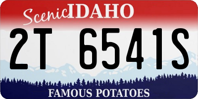 ID license plate 2T6541S