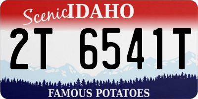 ID license plate 2T6541T