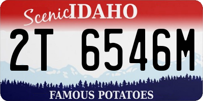 ID license plate 2T6546M
