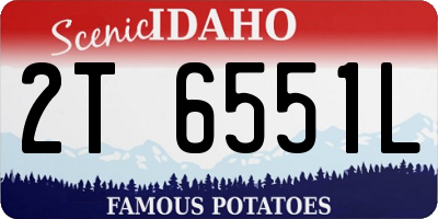 ID license plate 2T6551L