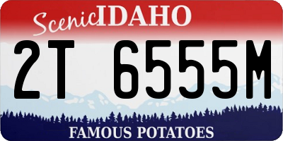 ID license plate 2T6555M