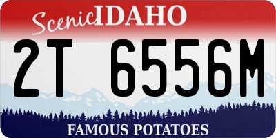 ID license plate 2T6556M