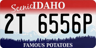 ID license plate 2T6556P