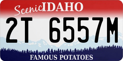 ID license plate 2T6557M