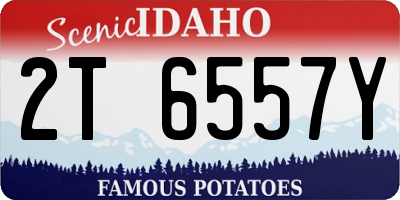 ID license plate 2T6557Y