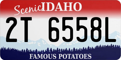 ID license plate 2T6558L
