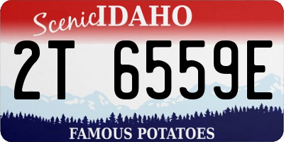 ID license plate 2T6559E