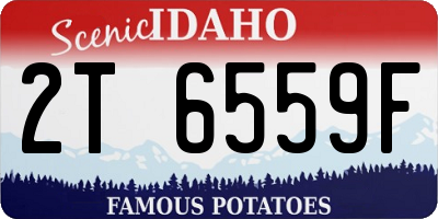 ID license plate 2T6559F