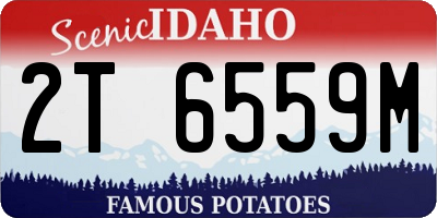 ID license plate 2T6559M