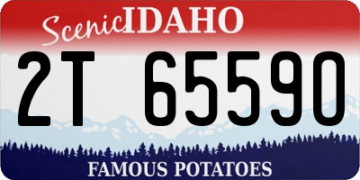 ID license plate 2T6559O