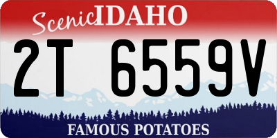 ID license plate 2T6559V