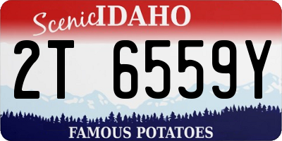 ID license plate 2T6559Y