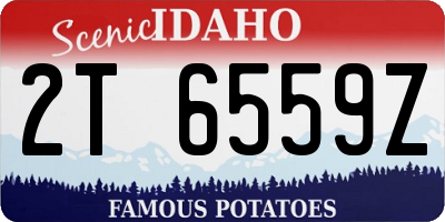 ID license plate 2T6559Z