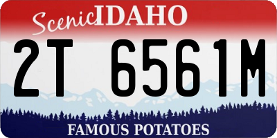 ID license plate 2T6561M