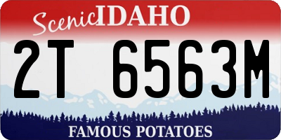 ID license plate 2T6563M