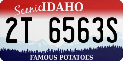 ID license plate 2T6563S