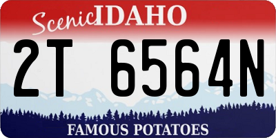 ID license plate 2T6564N