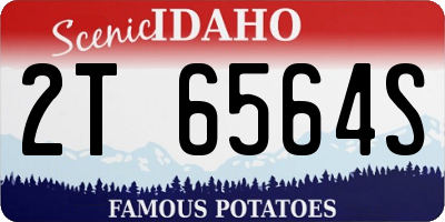 ID license plate 2T6564S