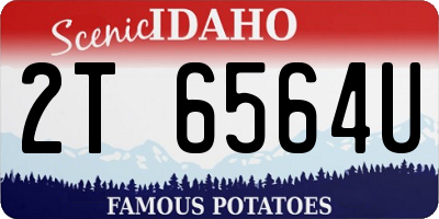 ID license plate 2T6564U