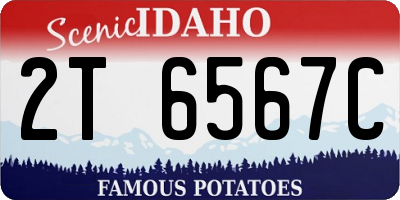 ID license plate 2T6567C