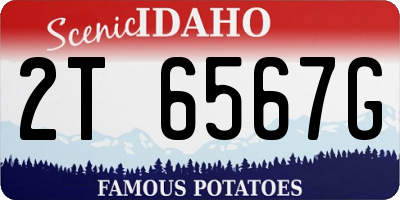 ID license plate 2T6567G