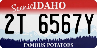 ID license plate 2T6567Y