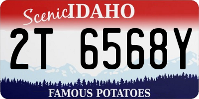 ID license plate 2T6568Y