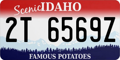 ID license plate 2T6569Z