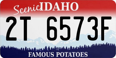 ID license plate 2T6573F