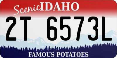 ID license plate 2T6573L