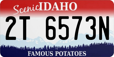 ID license plate 2T6573N