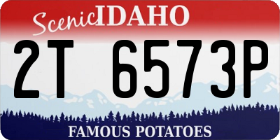 ID license plate 2T6573P