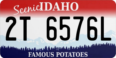 ID license plate 2T6576L