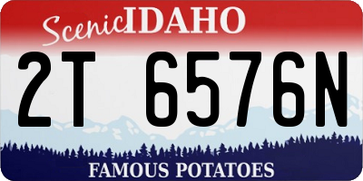 ID license plate 2T6576N