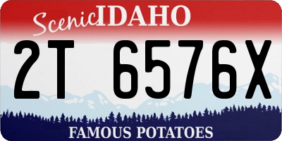 ID license plate 2T6576X