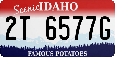 ID license plate 2T6577G
