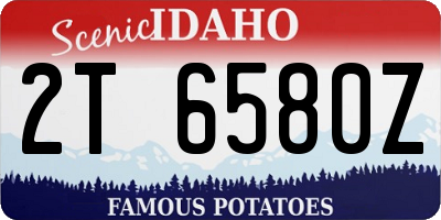 ID license plate 2T6580Z