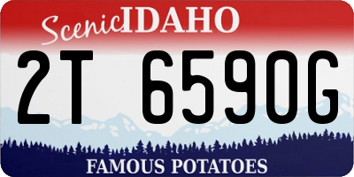 ID license plate 2T6590G