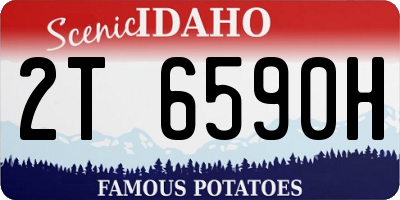 ID license plate 2T6590H