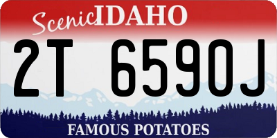 ID license plate 2T6590J