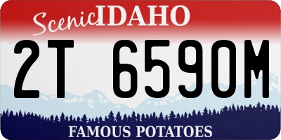 ID license plate 2T6590M