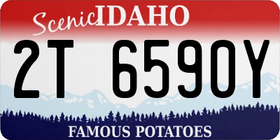 ID license plate 2T6590Y