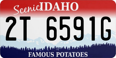 ID license plate 2T6591G