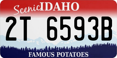 ID license plate 2T6593B